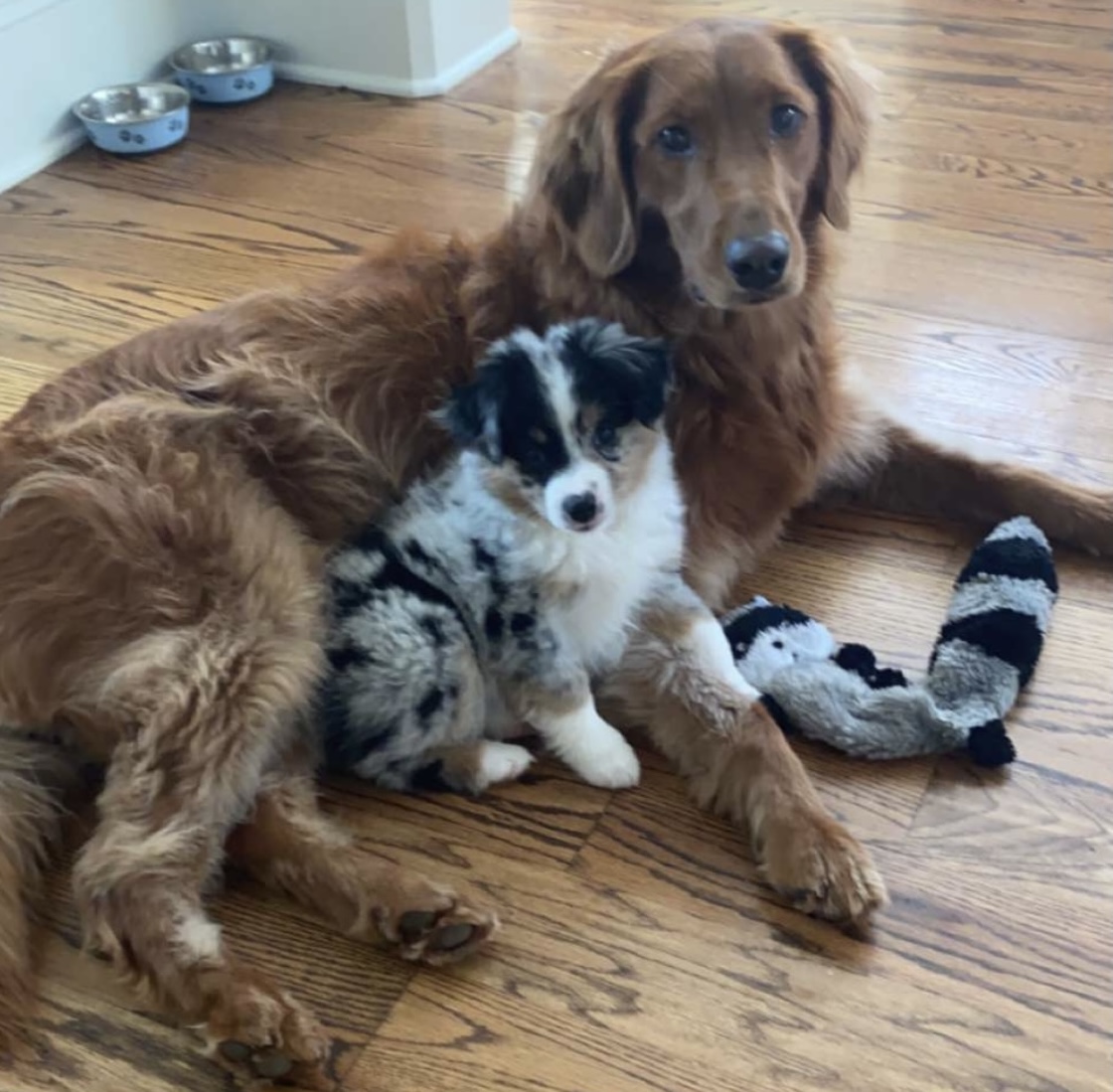 Ramsey with Cici