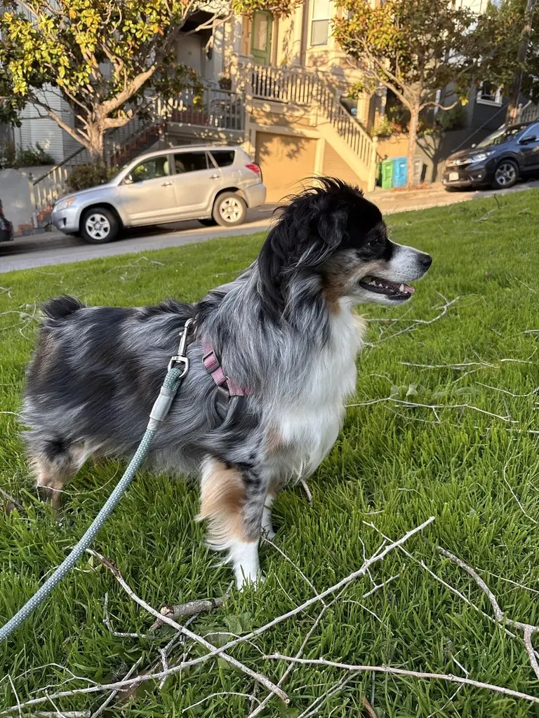 Ramsey in San Francisco